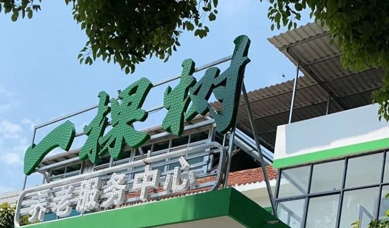 一棵树养老服务中心（广信区旭日街道）